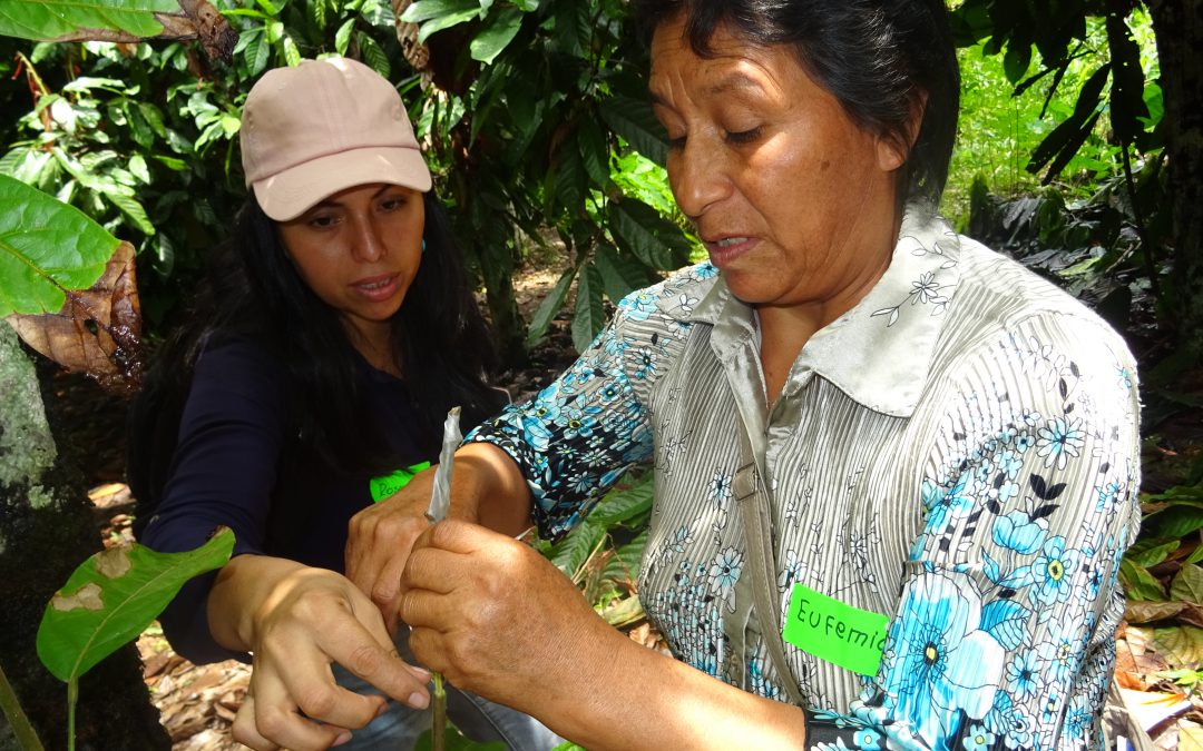 Female empowerment for the future of cacao